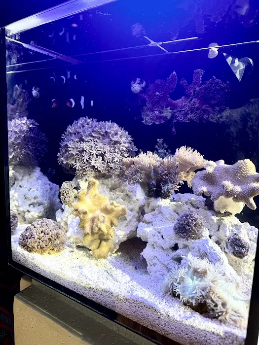 Nemo's Reef 7