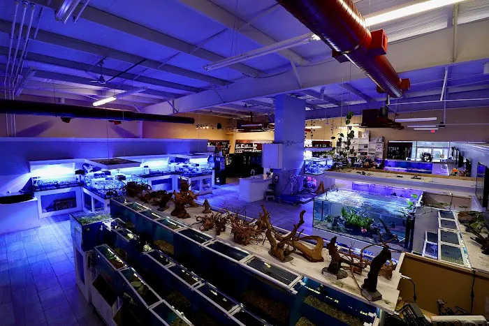 Nemo's Reef 9