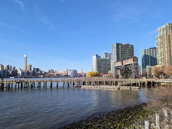 Hunter's Point South Dog Run 6