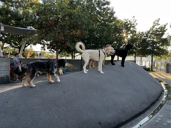 Hunter's Point South Dog Run 5