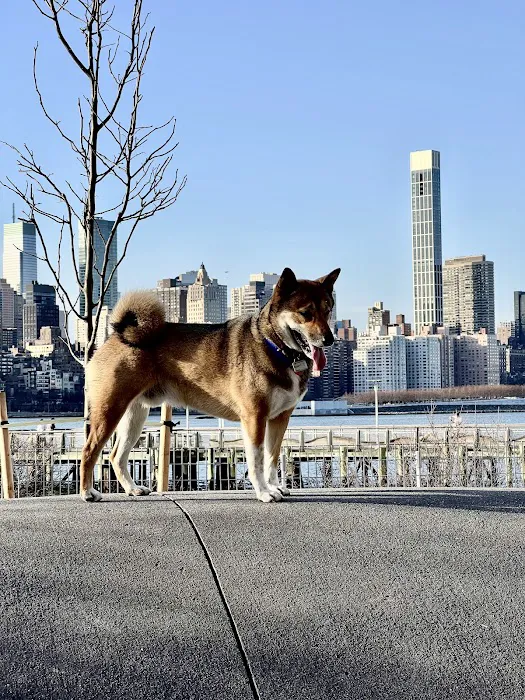 Hunter's Point South Dog Run 2