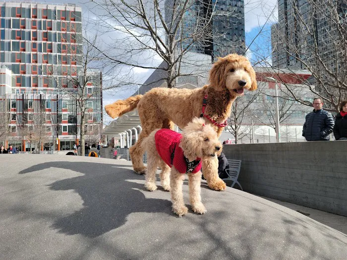 Hunter's Point South Dog Run 7