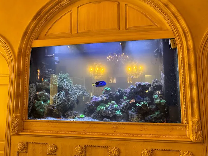 Under The Sea Aquarium Marketplace 4