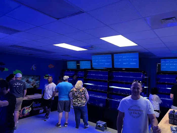 Under The Sea Aquarium Marketplace 7