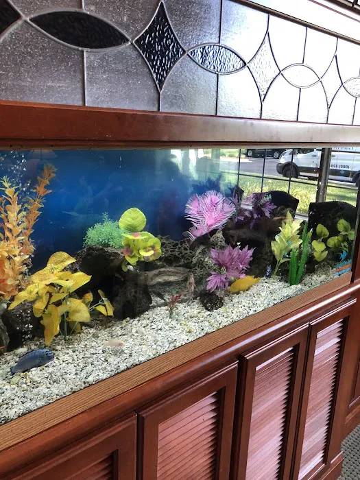 Under The Sea Aquarium Marketplace 6