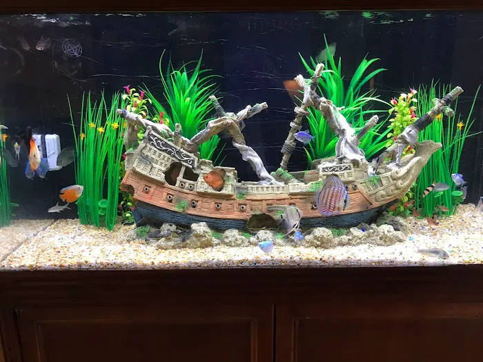 Under The Sea Aquarium Marketplace 9