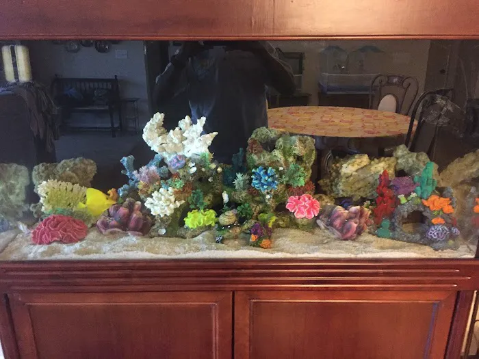 Under The Sea Aquarium Marketplace 2