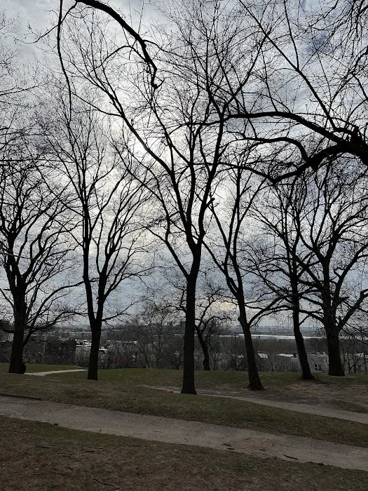 Leonard Dog Park 1