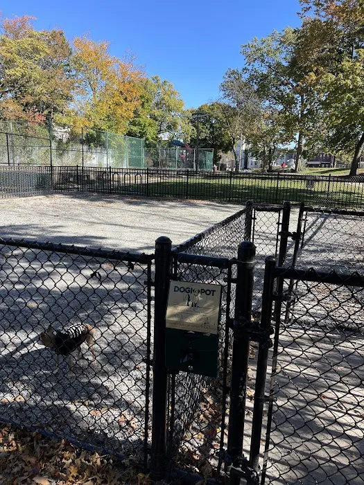 Leonard Dog Park 2