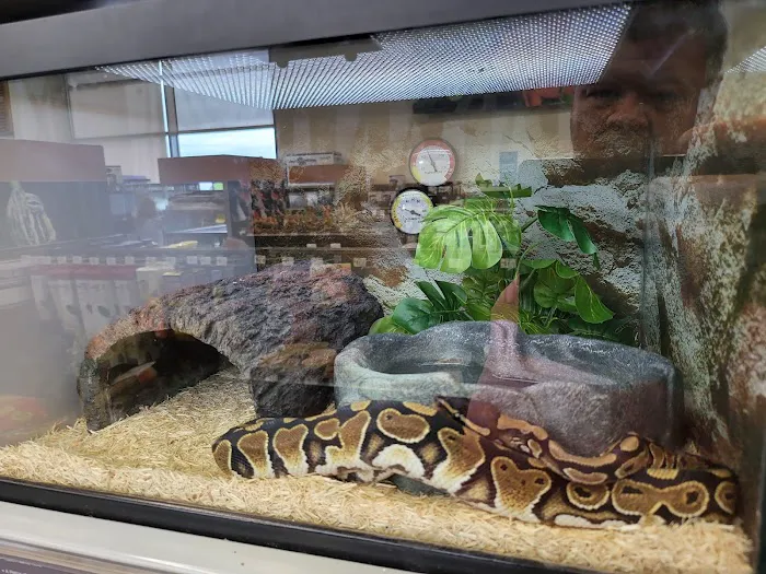 Petco 3