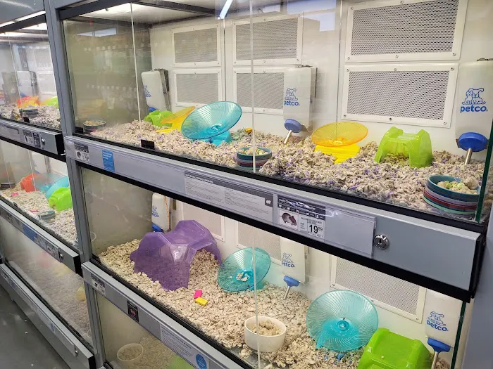 Petco 4