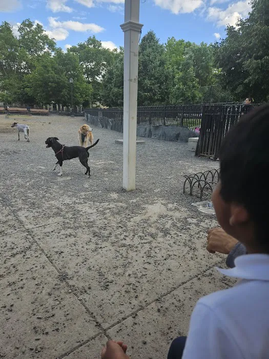 Maria Hernandez Park Dog Run 4