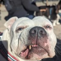 Maria Hernandez Park Dog Run ico