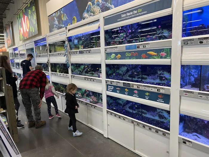 Petco 1