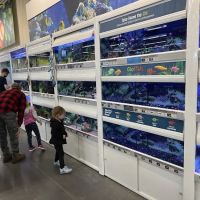 Petco ico