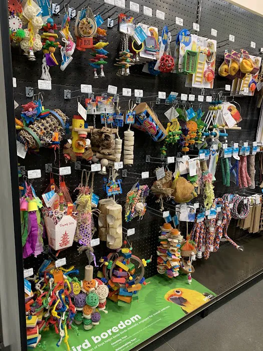 Petco 10
