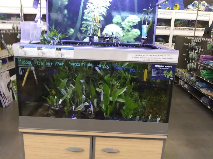 Petco 6