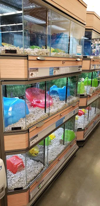 Petco 8