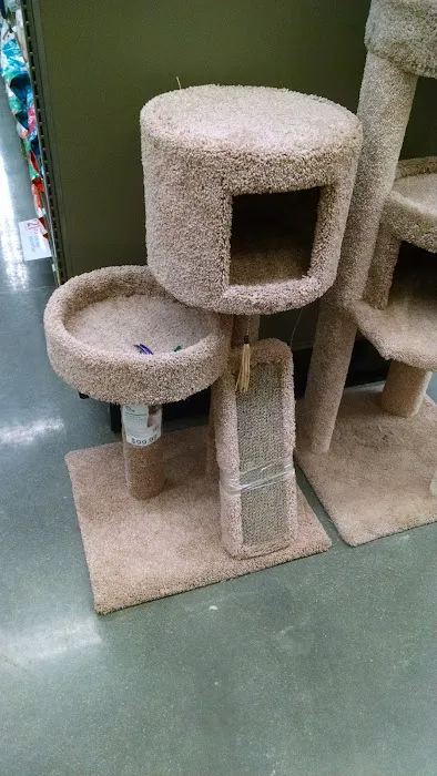 Petco 7