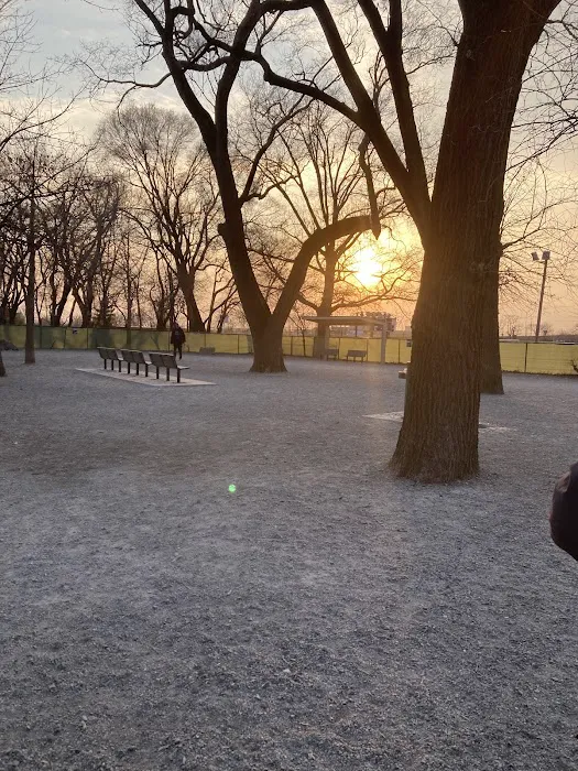 Lincoln Park Dog Run 2