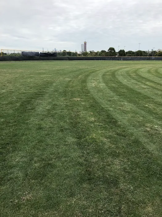 Lincoln Park Dog Run 6