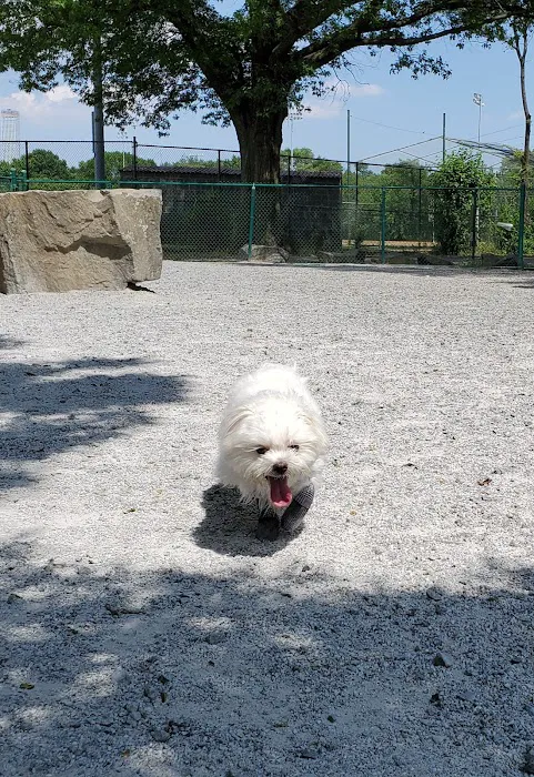 Lincoln Park Dog Run 9