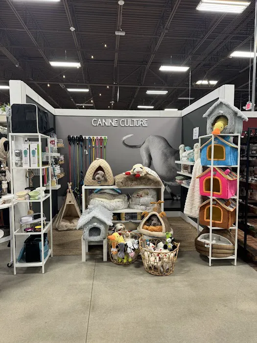 Canine Culture Gastonia, NC,28054 1