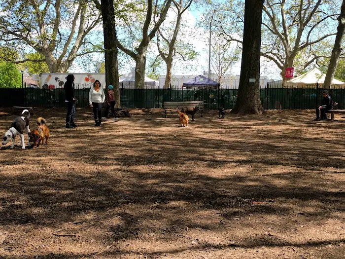 McCarren Park Dog Run 4