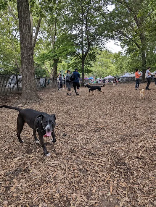 McCarren Park Dog Run 8