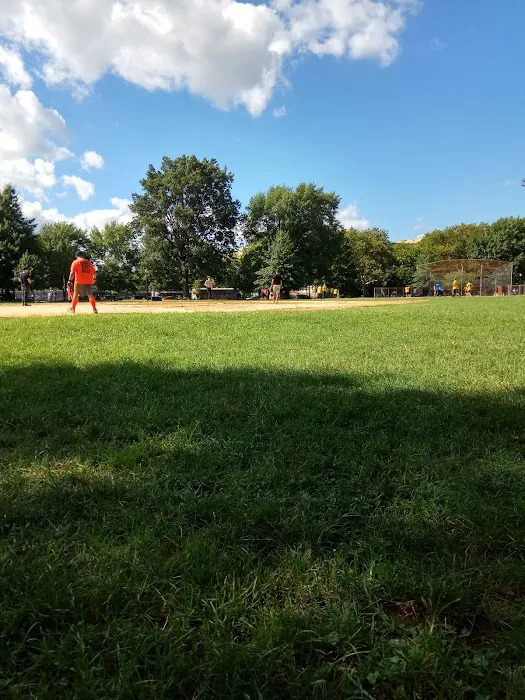 McCarren Park Dog Run 10