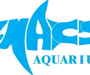 CMACS Aquarium - Gastonia