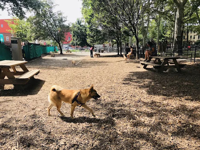 McGrowl-Lick Park Dog Run 1