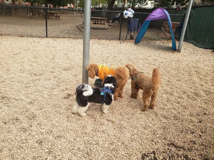 McGrowl-Lick Park Dog Run 10