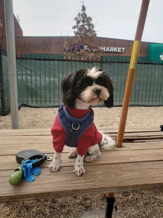 McGrowl-Lick Park Dog Run 5