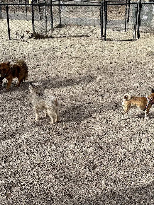 McGrowl-Lick Park Dog Run 3