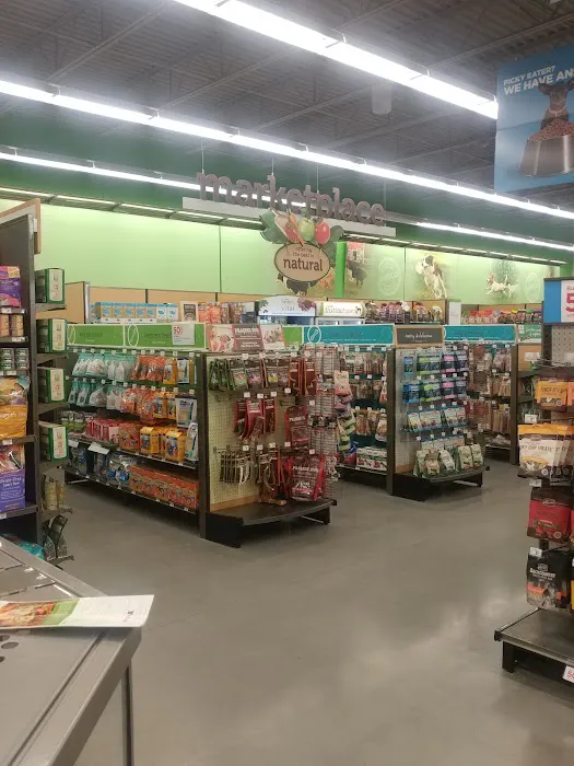Petco 7