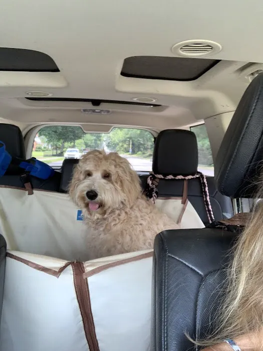 Petco 3