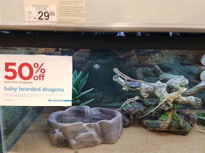 Petco 10