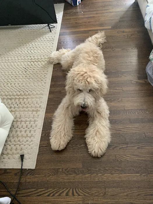 Petco 9
