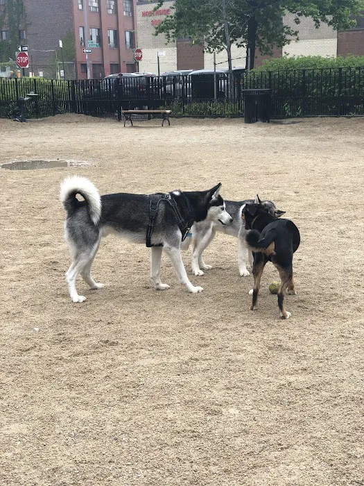 Cooper Park Dog Run 7