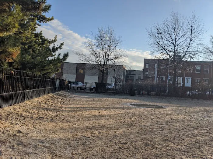 Cooper Park Dog Run 5