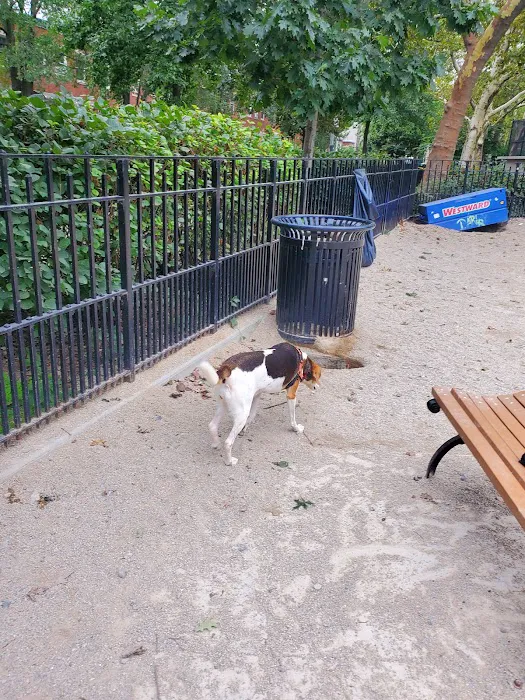 Cooper Park Dog Run 6