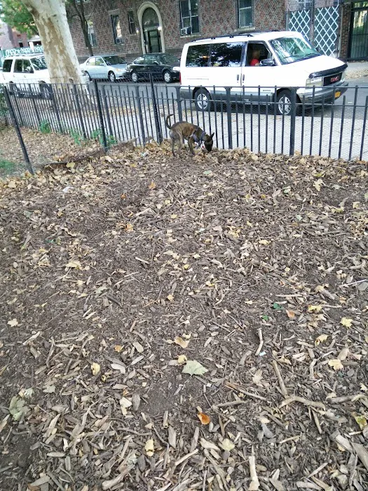 Cooper Park Dog Run 8