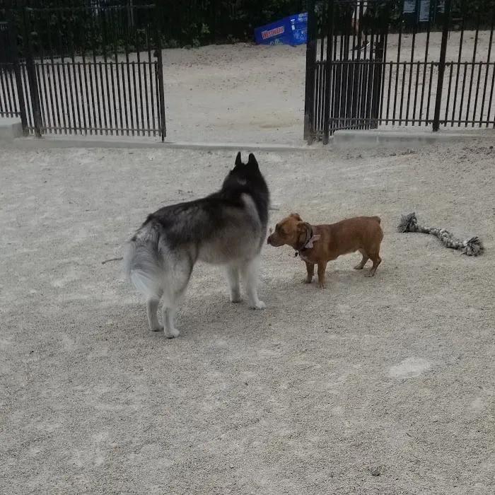 Cooper Park Dog Run 9