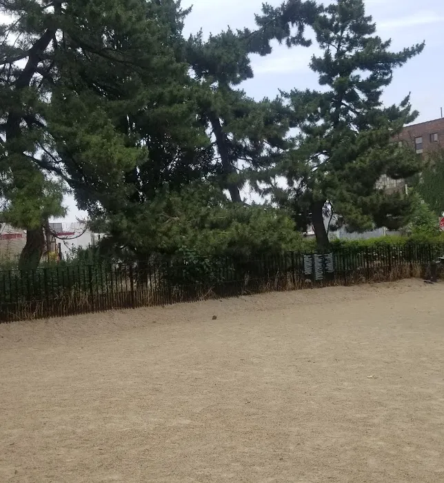 Cooper Park Dog Run 10