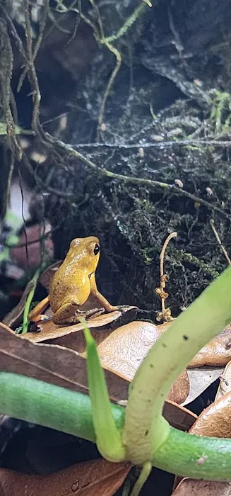 FROGDADDY LLC 4