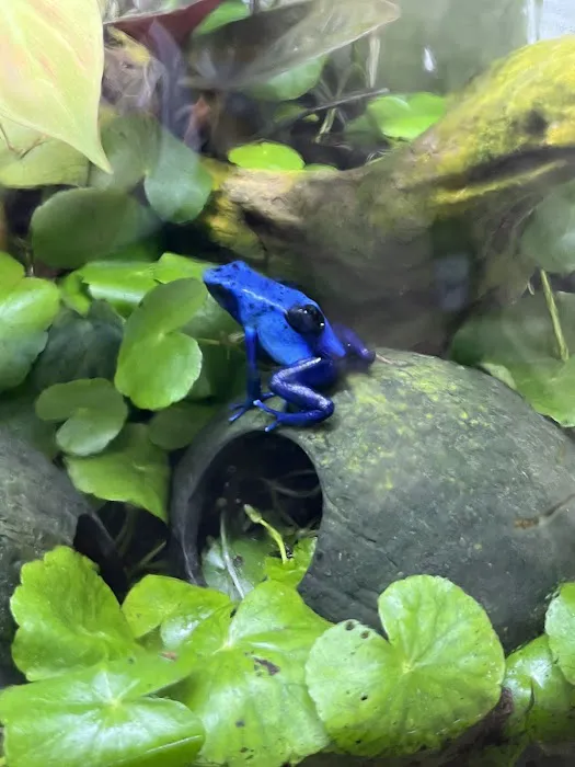 FROGDADDY LLC 1