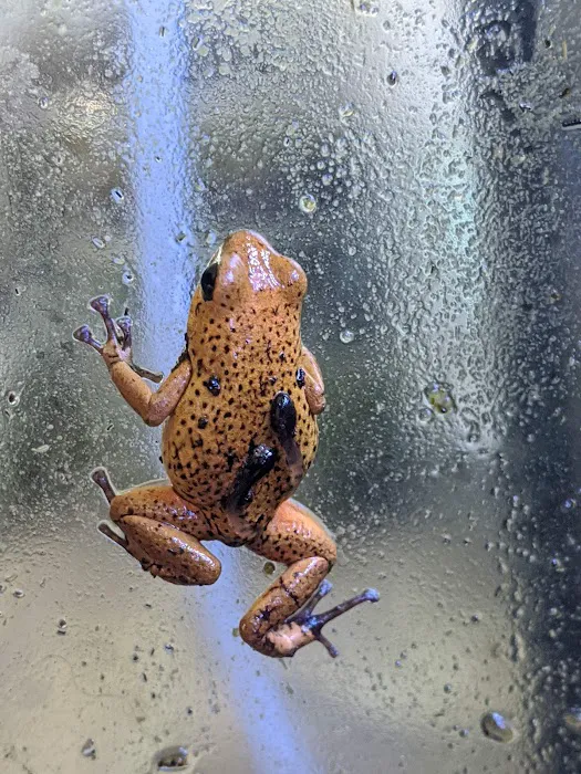 FROGDADDY LLC 6