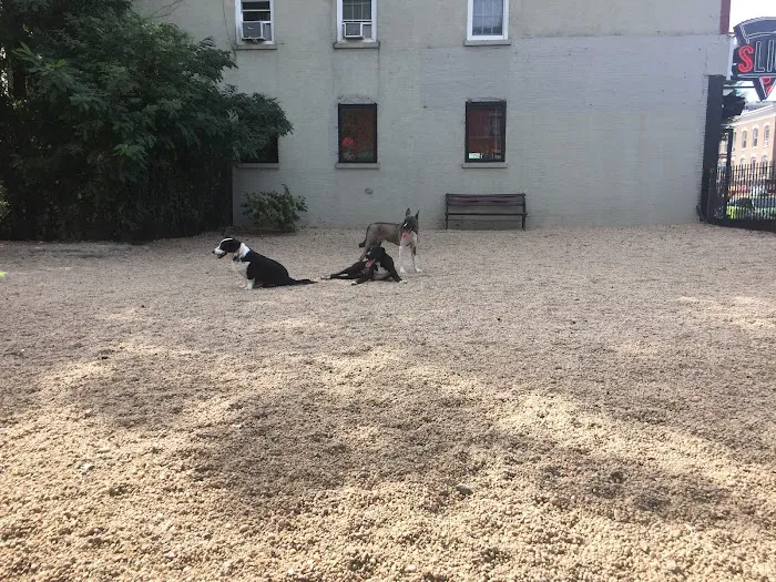 LIC Dog Park 2