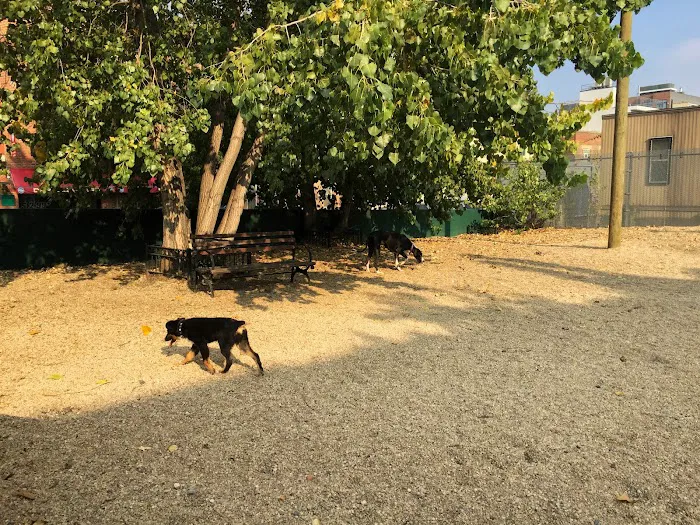 LIC Dog Park 4